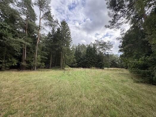 Land-/Forstwirtschaft zum Kauf provisionsfrei 129.000 € 41.452 m² Grundstück Schneverdingen Schneverdingen 29640