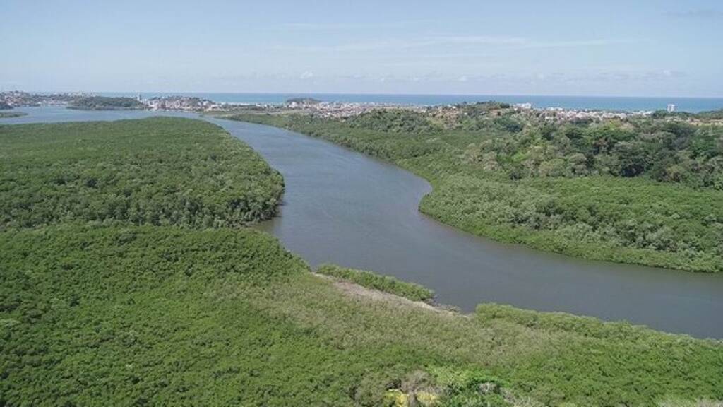 Grundstück zum Kauf 1.000.000 € 650.000 m² Grundstück Ilheus Rural 45662899