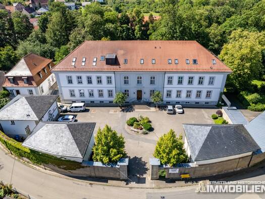 Schloss zum Kauf 2.950.000 € 64 Zimmer 1.838 m² 43.923 m² Grundstück Messelhausen Lauda-Königshofen 97922