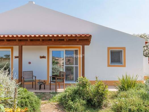 Haus zum Kauf 3.000.000 € 535 m² Serpa (Salvador e Santa Maria) 7830