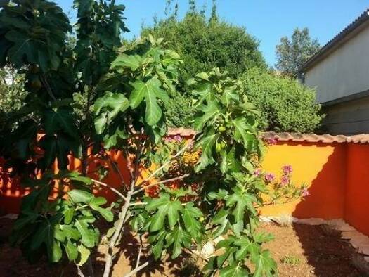 Einfamilienhaus zum Kauf 435.000 € 7 Zimmer 150 m² 303 m² Grundstück Gornji Karin 23452