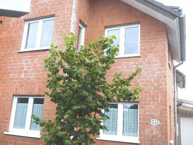 Mehrfamilienhaus zum Kauf provisionsfrei 479.000 € 10 Zimmer 203 m² 380 m² Grundstück Roetgen 52159