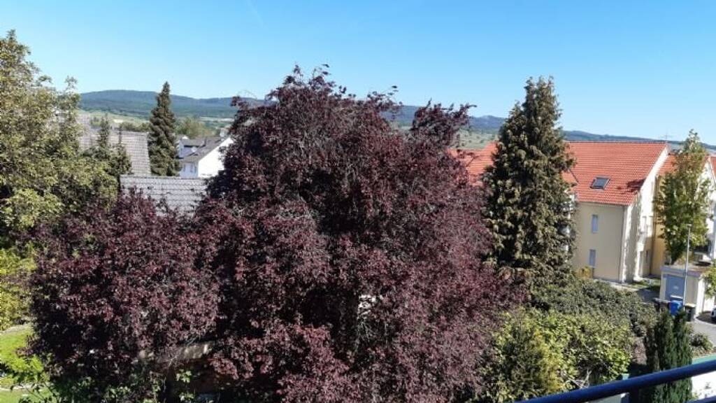 Wohnung zur Miete 800 € 3 Zimmer 81 m² 2. Geschoss frei ab sofort Schulstraße Oestrich Oestrich-Winkel 65375