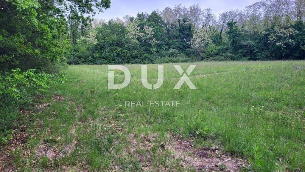 Land-/Forstwirtschaft zum Kauf 15.000 € Labin