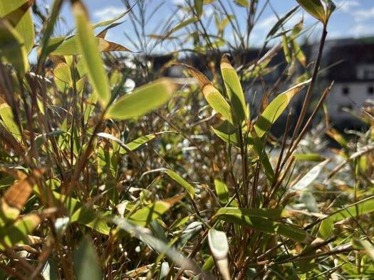 Wohnung zum Kauf 158.000 € 2 Zimmer 70 m² Metzdorf Kulmbach 95326