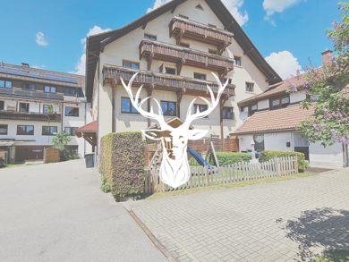 Mehrfamilienhaus zum Kauf 985.000 € 1.351 m² 876 m² Grundstück Lenzkirch Lenzkirch 79853