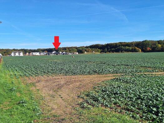 Einfamilienhaus zum Kauf 798.000 € 6 Zimmer 190,3 m² 883 m² Grundstück Groß Schönwalde Greifswald 17491