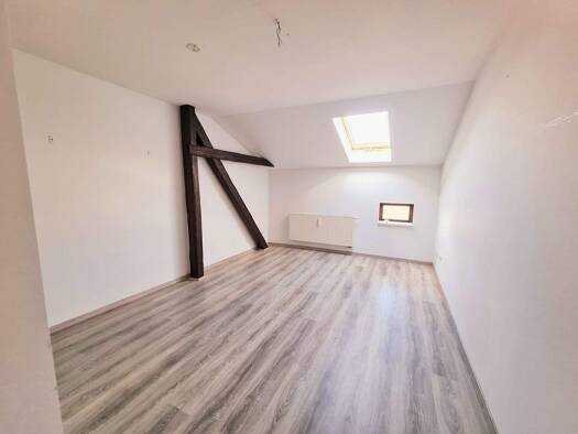 Wohnung zur Miete 400 € 1 Zimmer 20 m² frei ab sofort Johann-Andreas-Segner-Straße 8 Innenstadt Halle 06108