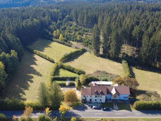 Mehrfamilienhaus zum Kauf provisionsfrei 650.000 € 4 Zimmer 300 m² 18.000 m² Grundstück Wallersheim 54570