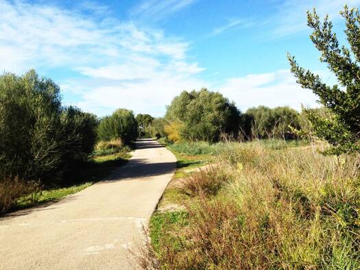 Grundstück zum Kauf 420.000 € 36.099,8 m² Grundstück Muro 07440