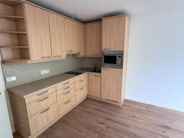 Wohnung zur Miete 1.100 € 1 Zimmer 31 m² EG Hannoverstraße 8 Moosach München 80997