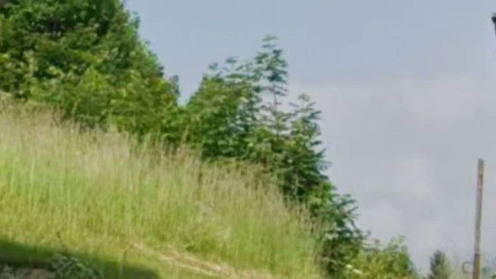 Grundstück zum Kauf provisionsfrei 29.000 € 1.230 m² Grundstück Oberhüttendorfer Weg 14 Bad Bleiberg 9530