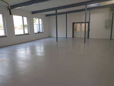 Halle/Industriefläche zur Miete provisionsfrei 1.750 € 248 m² Lagerfläche Relaisstraße Rheinau Mannheim 68219