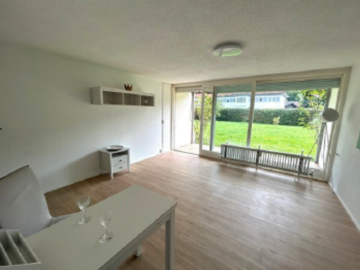 Terrassenwohnung zur Miete 470 € 1 Zimmer 31 m² Geschoss EG/2 frei ab sofort Stemmerstraße 14 Büsingen am Hochrhein 78266