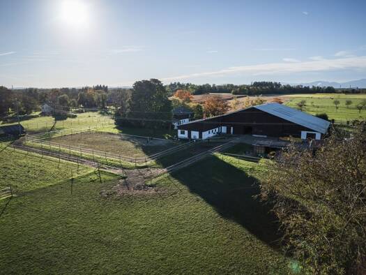 Landwirtschaftliche Fläche zum Kauf provisionsfrei 1.290.000 € 140 m² 34.300 m² Grundstück Auggen 79424