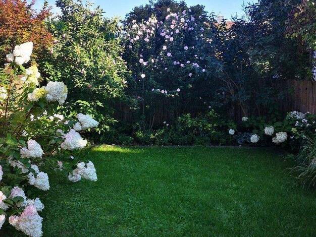 Maisonette zum Kauf provisionsfrei 445.000 € 2,5 Zimmer 80 m² EG Maxglan Salzburg Maxglan 5020