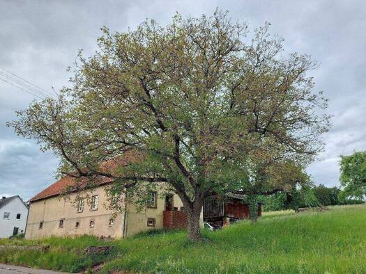 Bauernhaus zum Kauf 245.000 € 6 Zimmer 160 m² 3.100 m² Grundstück Vogesenstraße Brenschelbach Blieskastel 66440