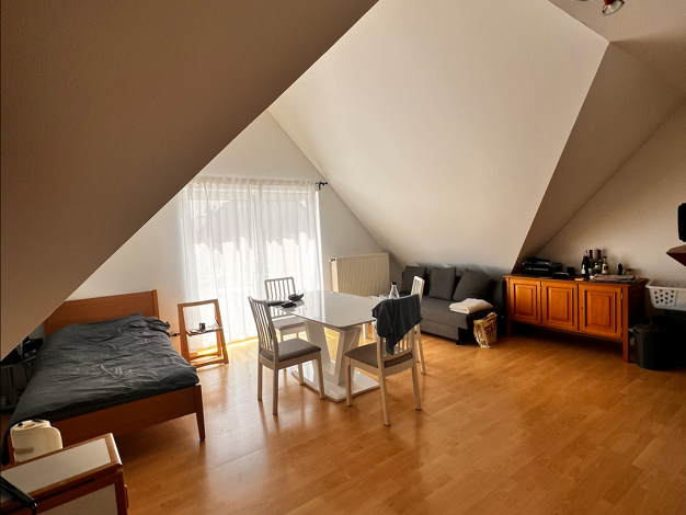 Wohnung zum Kauf provisionsfrei 125.000 € 1 Zimmer 43,3 m² 1. Geschoss Wiesoppenheim Worms 67551