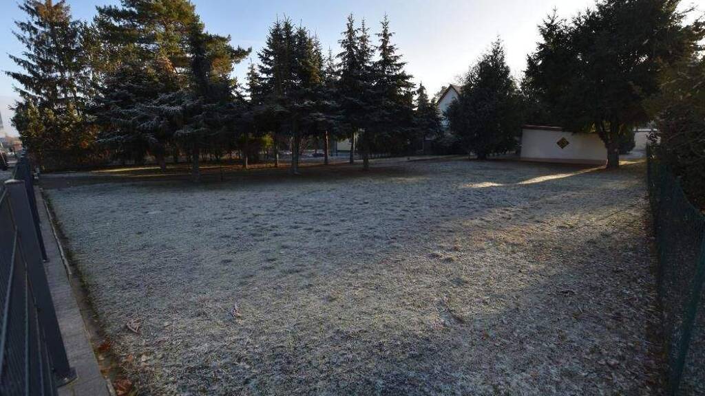 Einfamilienhaus zum Kauf 740.000 € 4 Zimmer 91 m² 1.207 m² Grundstück Dahlewitz Blankenfelde-Mahlow 15827