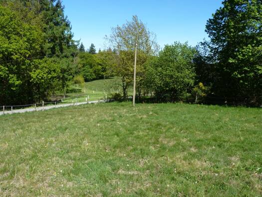 Land-/Forstwirtschaft zum Kauf 16.900 € 2.439 m² Grundstück Escherhof Waldbröl 51545
