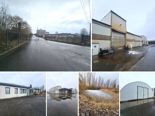 Lagerhalle zum Kauf 2.500.000 € 6.487,3 m² Lagerfläche Pohritzsch Wiedemar 04509