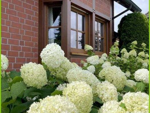 Einfamilienhaus zum Kauf 399.000 € 5 Zimmer 152,4 m² 793 m² Grundstück Uentrop Hamm 59071