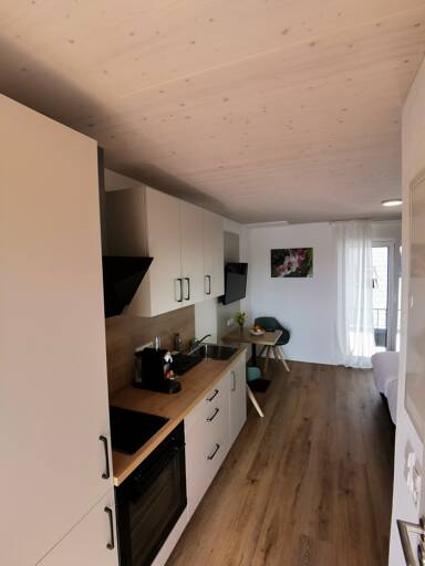 Wohnung zur Miete Wohnen auf Zeit 1.904 € 1 Zimmer 26 m² frei ab sofort Breite Straße Reutin Bodolz 88131