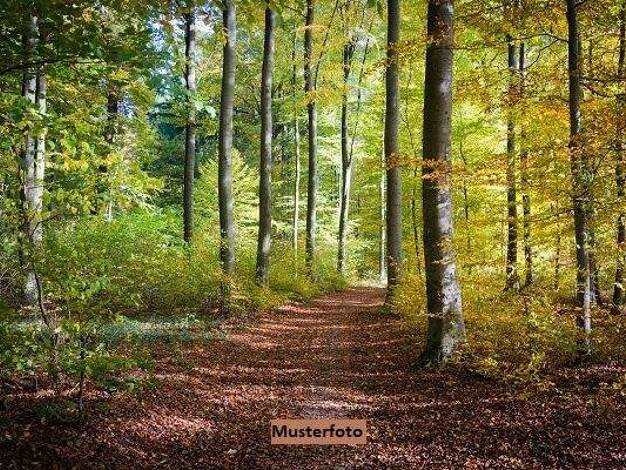 Land-/Forstwirtschaft zum Kauf 225.000 € 51.220 m² Grundstück Partenkirchen Garmisch-Partenkirchen 82467