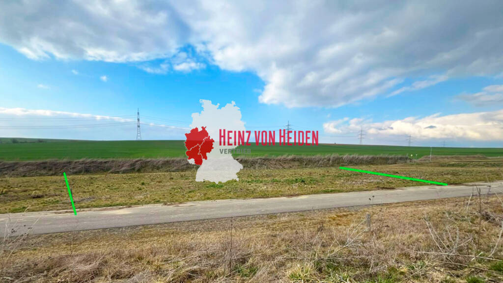 Villa zum Kauf provisionsfrei 489.315 € 5 Zimmer 148,3 m² 1.990 m² Grundstück Lonnig 56295