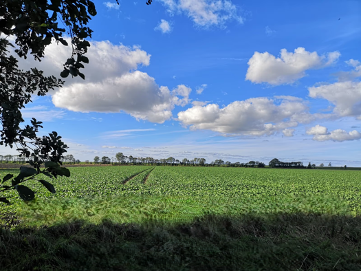 Grundstück zum Kauf 329.000 € 7.467 m² Grundstück Leybuchtpolder Norden 26506