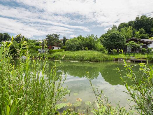 Grundstück zum Kauf 595.000 € 535 m² Grundstück Seekirchen am Wallersee 5201