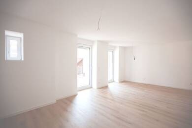 Studio zur Miete 1.100 € 3,5 Zimmer 77 m² EG frei ab sofort Güglingen Güglingen 74363