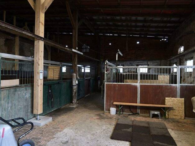 Einfamilienhaus zum Kauf 270.000 € 6 Zimmer 140 m² 9.623 m² Grundstück Tornau v d Heide Tornau vor der Heide 06779