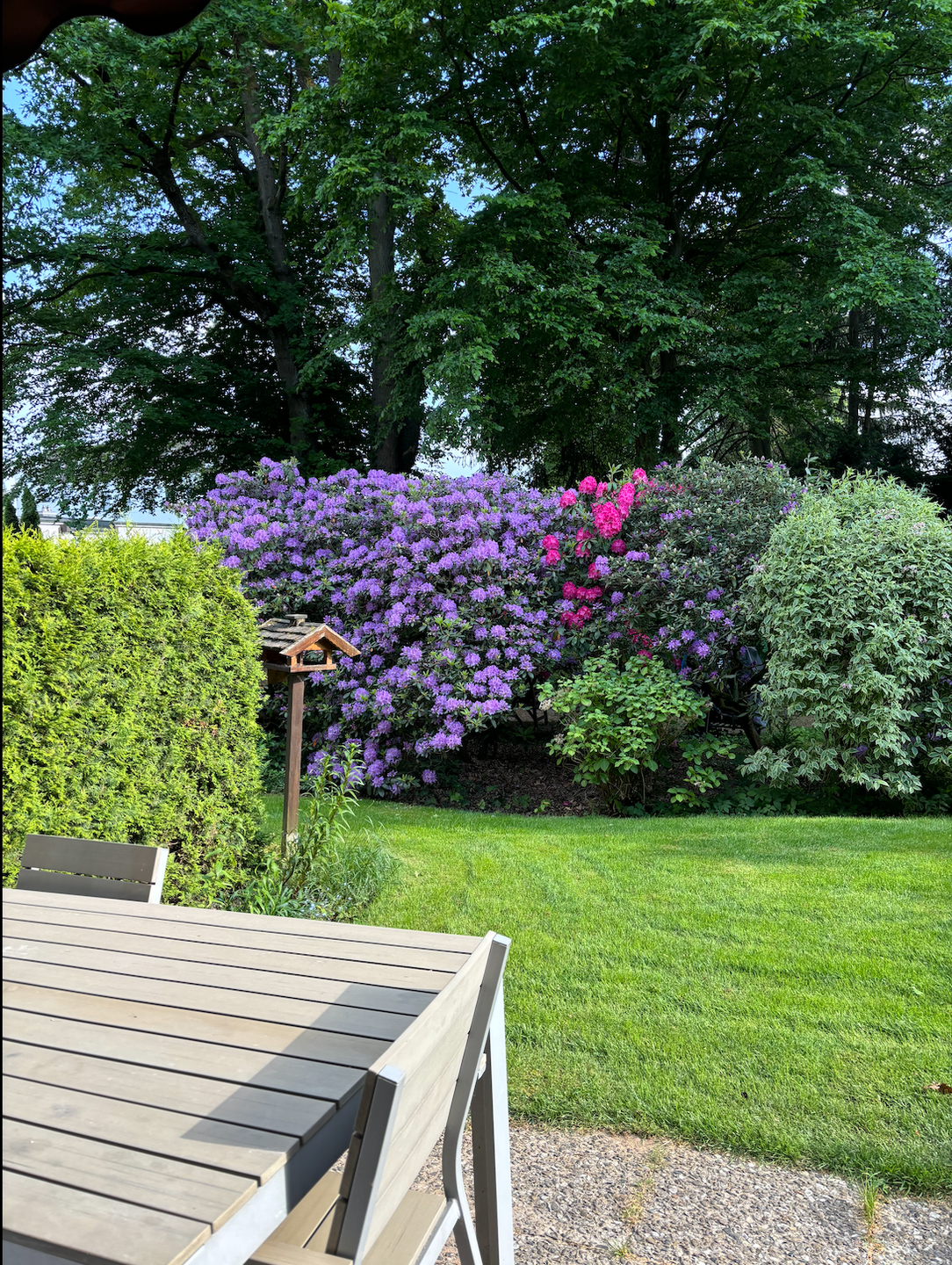 Property thumbnail 16