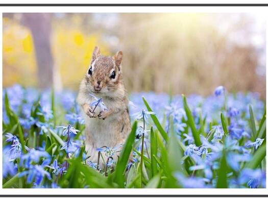 Wohnung zur Miete 1.140 € 3,5 Zimmer 79,2 m² 1. Geschoss Dahlmannstraße 16 Charlottenburg Berlin 10629