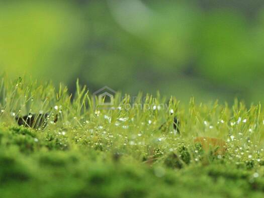 Grundstück zum Kauf 179.000 € 570 m² Grundstück Eggendorf 2601