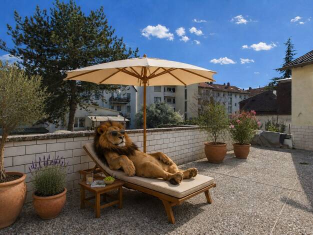 Wohnung zum Kauf 775.000 € 10 Zimmer 208,5 m² Darmstadt Darmstadt 64283