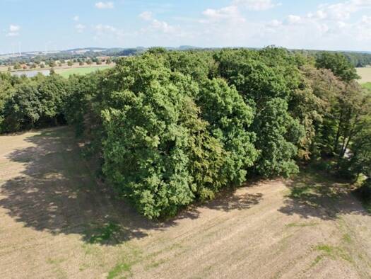 Land-/Forstwirtschaft zum Kauf 60.000 € 10.557 m² Grundstück Eggerode Schöppingen 48624