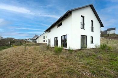 Mehrfamilienhaus zum Kauf 350.000 € 7 Zimmer 264,8 m² 1.027 m² Grundstück Kröppen 66957