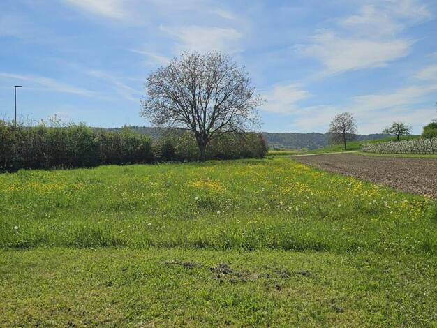 Grundstück zum Kauf 575.000 € 2.313 m² Grundstück Büsingen am Hochrhein 78266