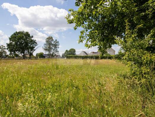 Grundstück zum Kauf 79.000 € 3.330 m² Grundstück Kolonie Annaburg 06925