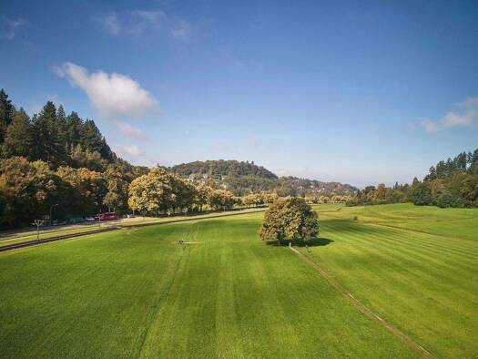 Mehrfamilienhaus zum Kauf 1.950.000 € 14 Zimmer 405 m² 528 m² Grundstück frei ab sofort Schauinslandstraße 18 Günterstal Freiburg im Breisgau 79100