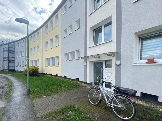 Wohnung zur Miete 535 € 2,5 Zimmer 49,8 m² frei ab 14.03.2026 Ückendorfer Str. 50 Katernberg Essen 45327