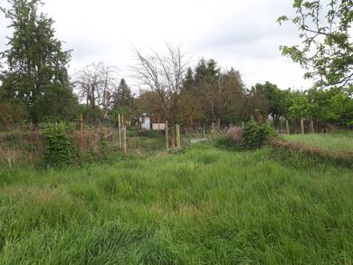 Land-/Forstwirtschaft zum Kauf provisionsfrei 5.390 € 2.695 m² Grundstück Steinhöfler Weg Wilmersdorf Angermünde 16278