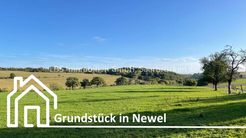 Grundstück zum Kauf provisionsfrei 137.770 € 599 m² Grundstück Newel Newel 54309