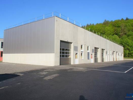 Lagerhalle zur Miete - Erstbezug 1.450 € 170,2 m² Lagerfläche Alland 2534