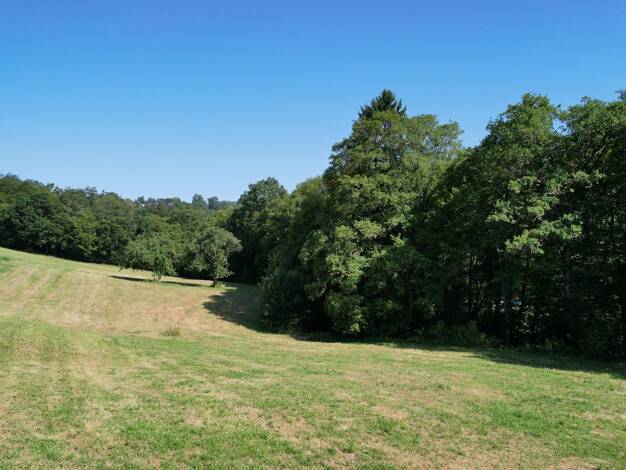 Grundstück zum Kauf 330.000 € 1.600 m² Grundstück Kaule Neunkirchen-Seelscheid 53819