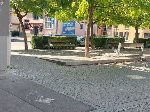 Mehrfamilienhaus zum Kauf als Kapitalanlage geeignet 2.200.000 € 32 Zimmer 914 m² Singen Singen (Hohentwiel) 78224