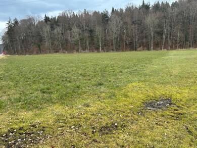 Land-/Forstwirtschaft zum Kauf 321.000 € 17.833 m² Grundstück Aiging Nußdorf 83365