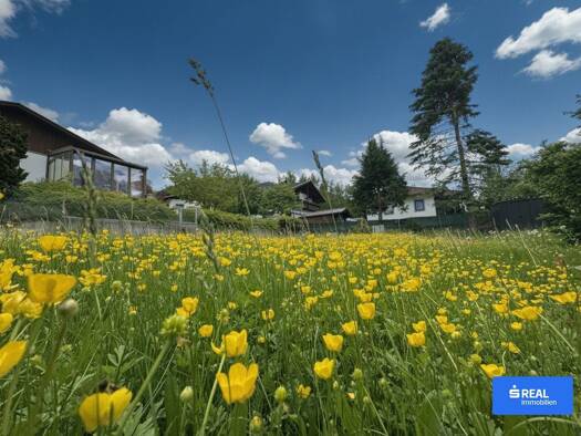 Grundstück zum Kauf 159.000 € 544 m² Grundstück Dölsach 9991